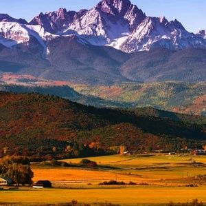 Meet your Posher, Laurie